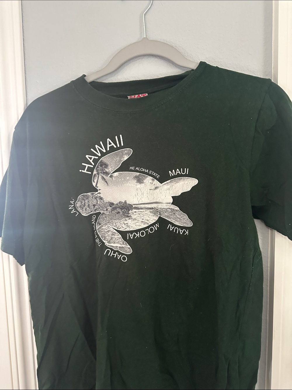 Hawaii Sea Turtle Graphic Tee - Forest Green baby tee